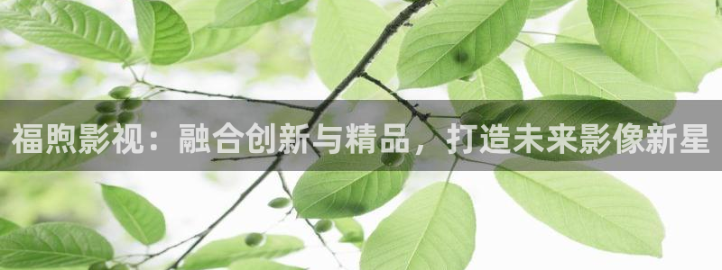 桔子圖片下載：福煦影視：融合創新與精品，打造未來影像新星